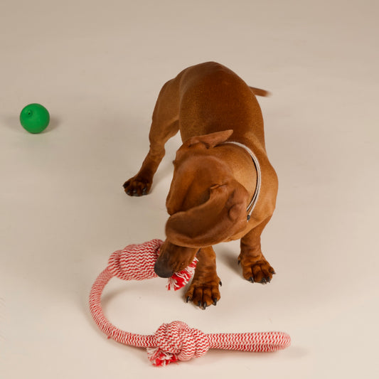 Articulatii & Mobilitate - Soft Chews naturale