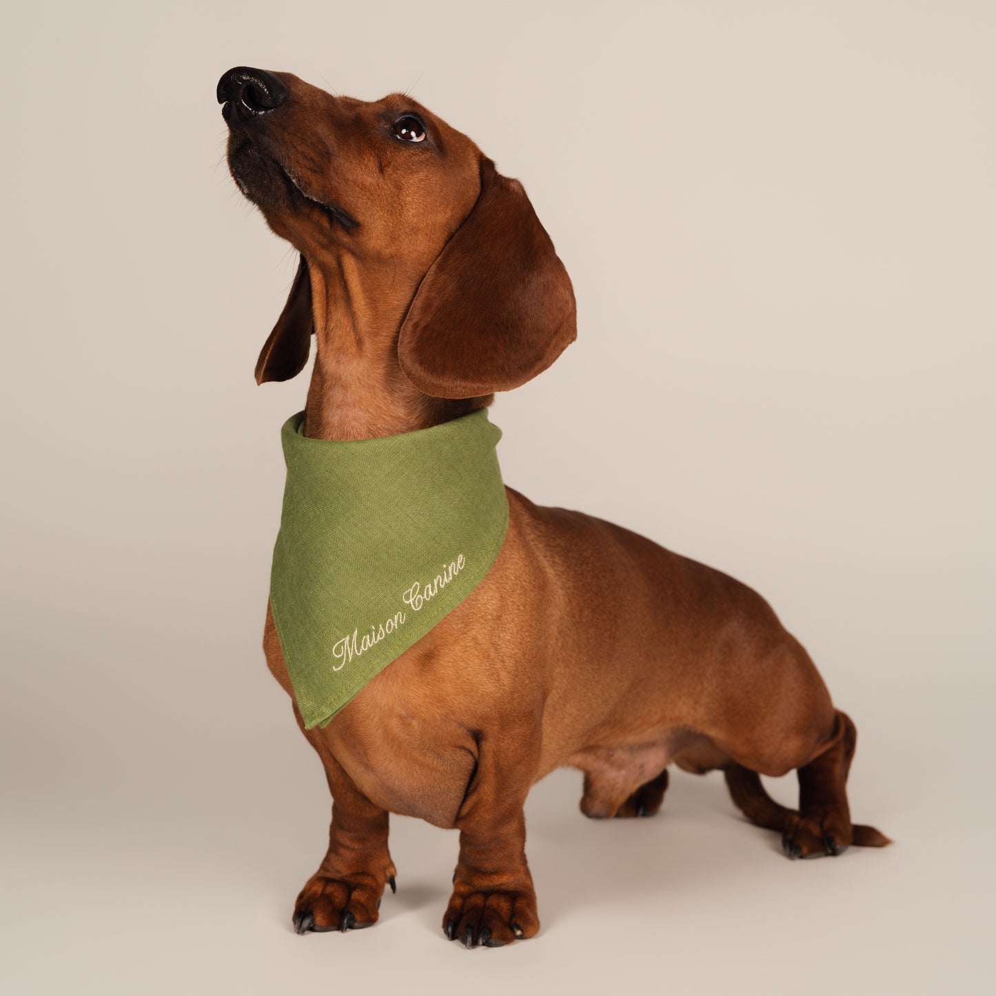 Bandană din In 100% - Matcha Green