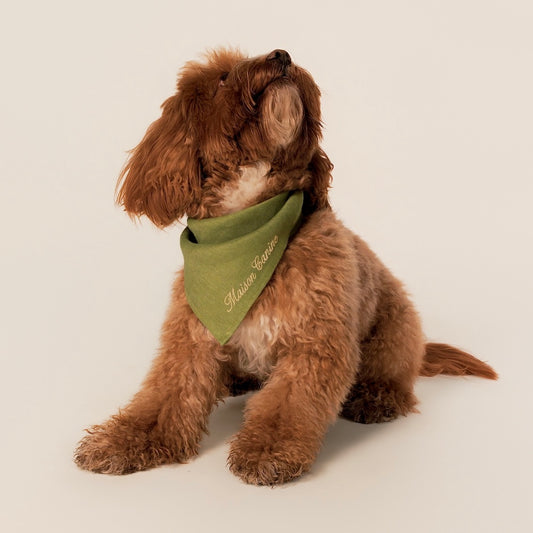 Bandană din In 100% - Matcha Green