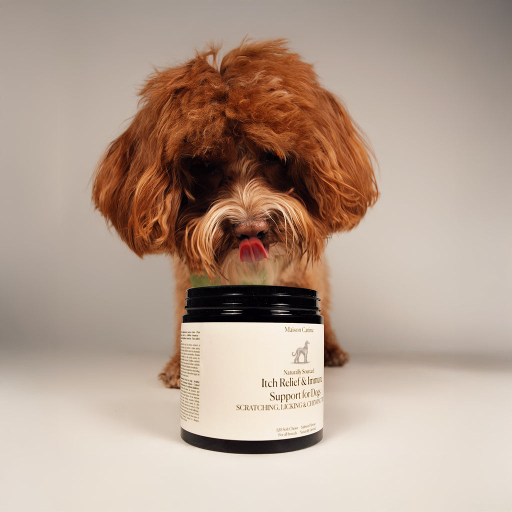 Itch Relief & Immune Support - 120 Tablete Naturale