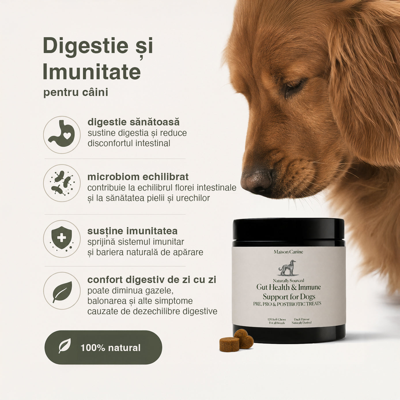 Digestie & Imunitate - 120 Tablete Naturale