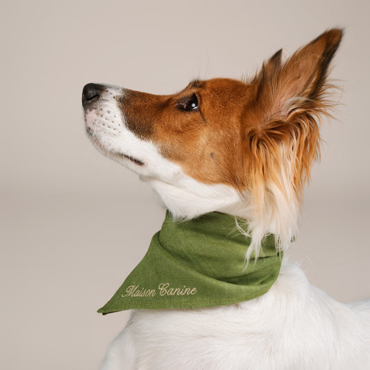 Anxietate & Calmare - Soft Chews naturale