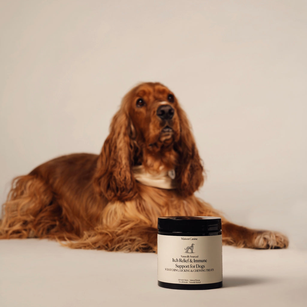 Itch Relief & Immune Support - 120 Tablete Naturale