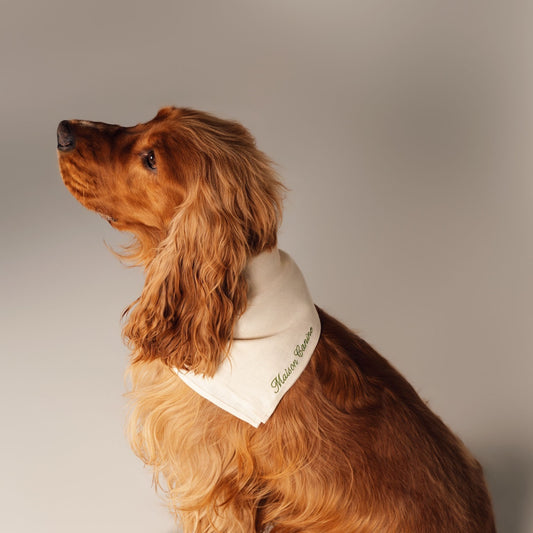 Bandană din In 100% - Oat Cream